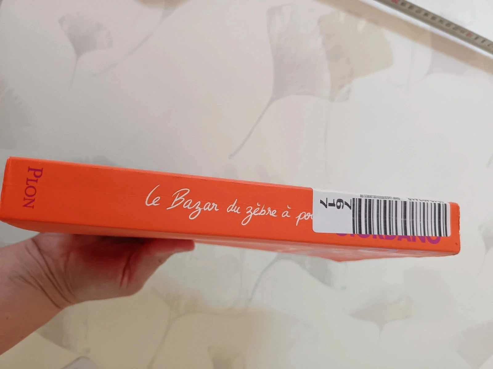 Raphaëlle Giordano's book 'The Zebra's Polka Dot Bazaar' in paperback – photo 3